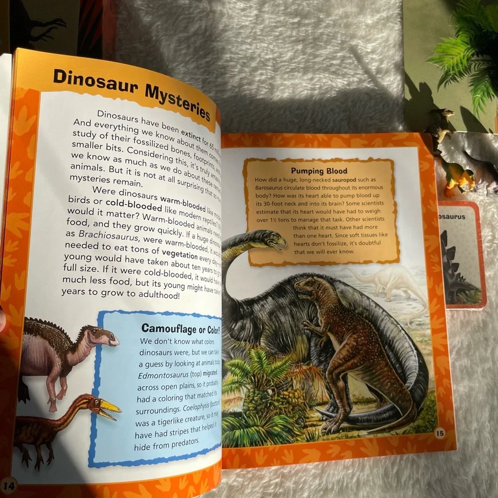 Animal Adventures Dinosaurs Game